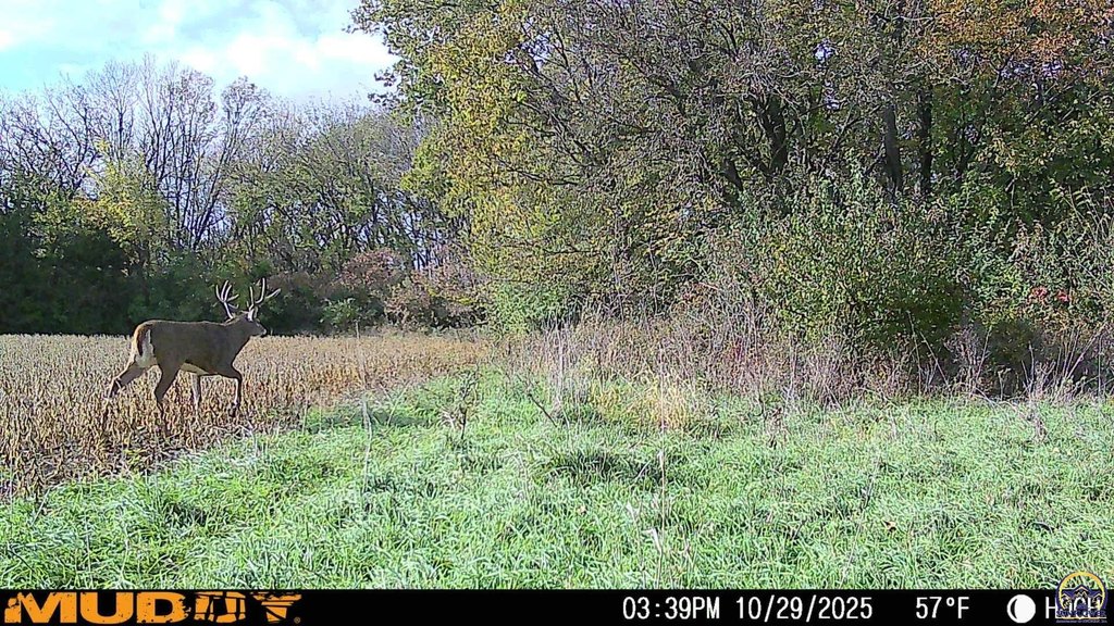 Picture 26
