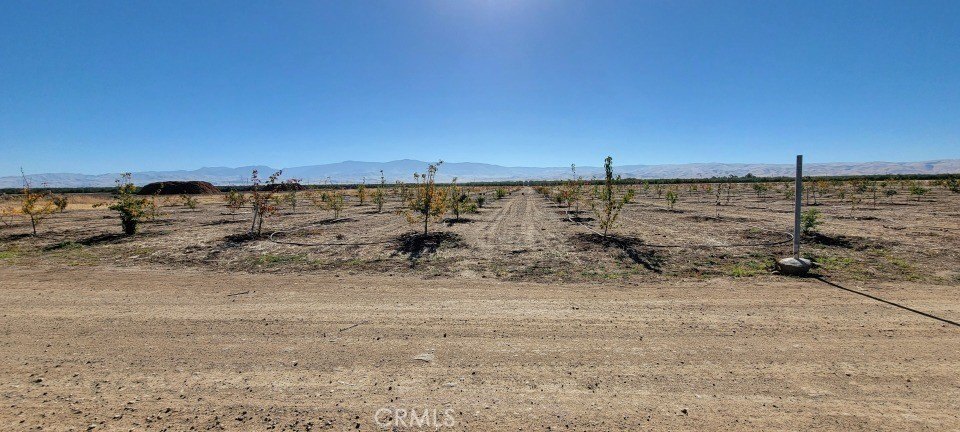 19.25 Acres with Organic Trees