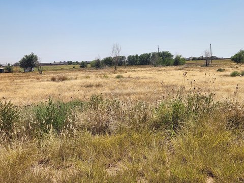 LAND - Lubbock, TX