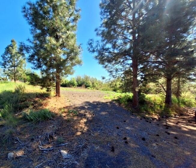 Residential Lot in Oregon Shores