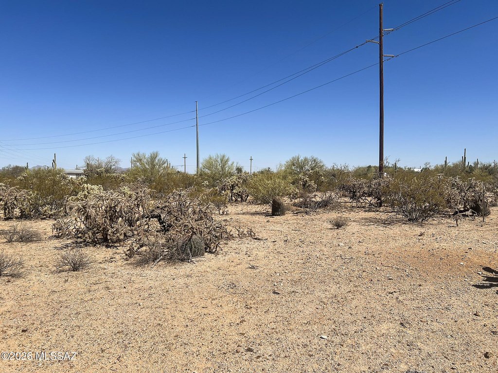 Picture 23