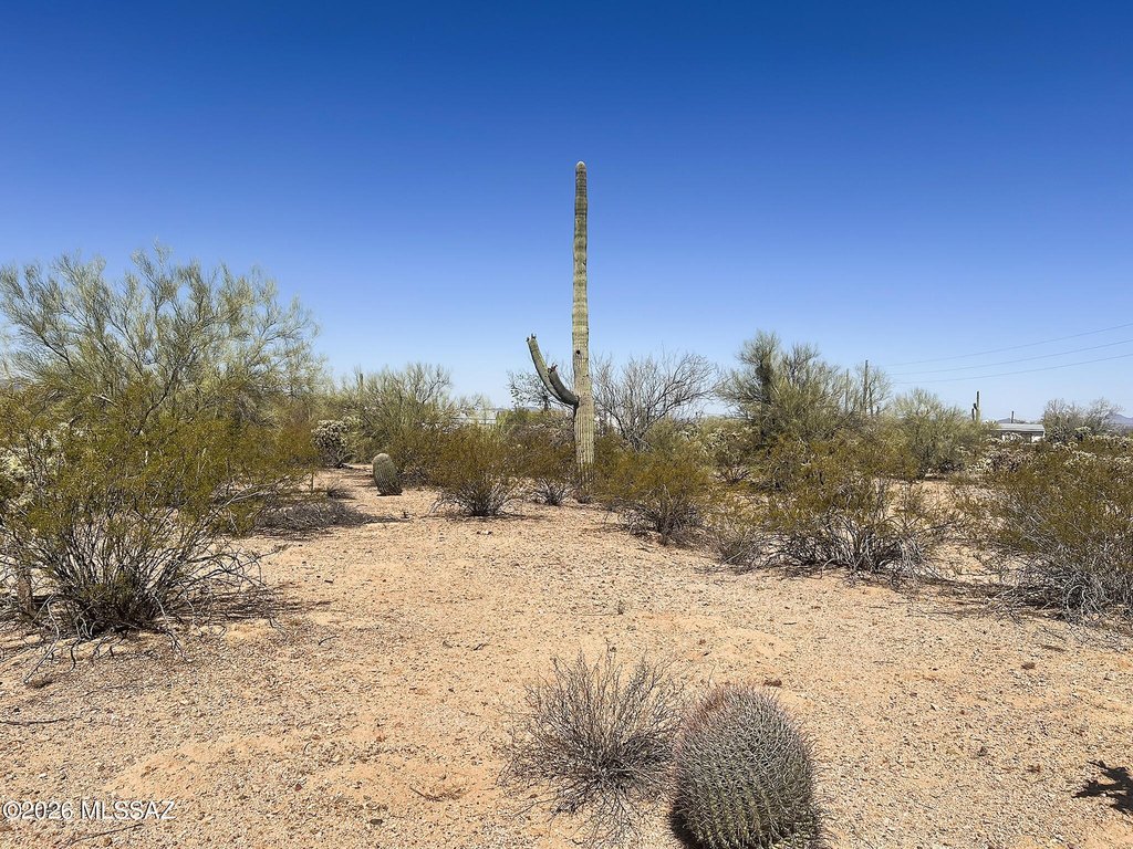 Picture 25