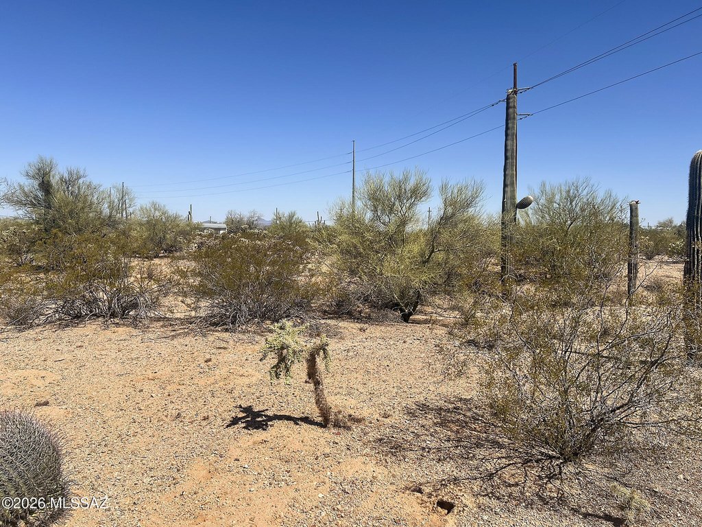 Picture 24