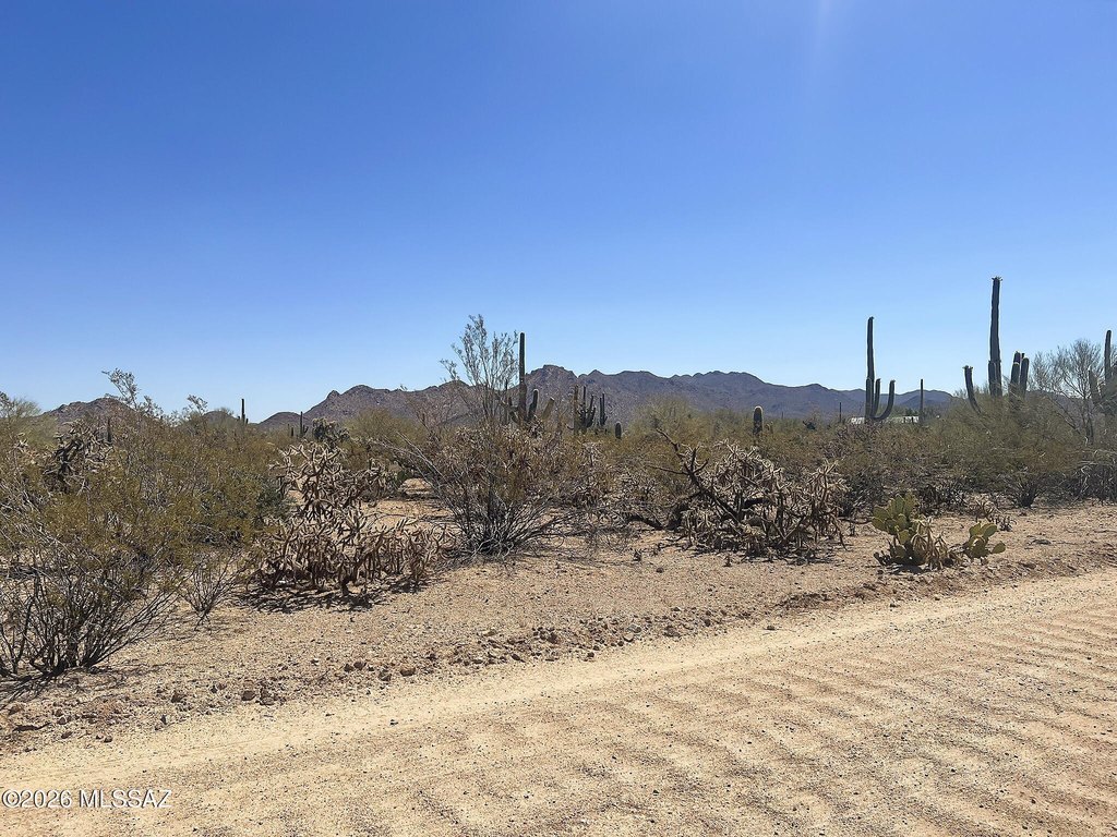 Picture 29