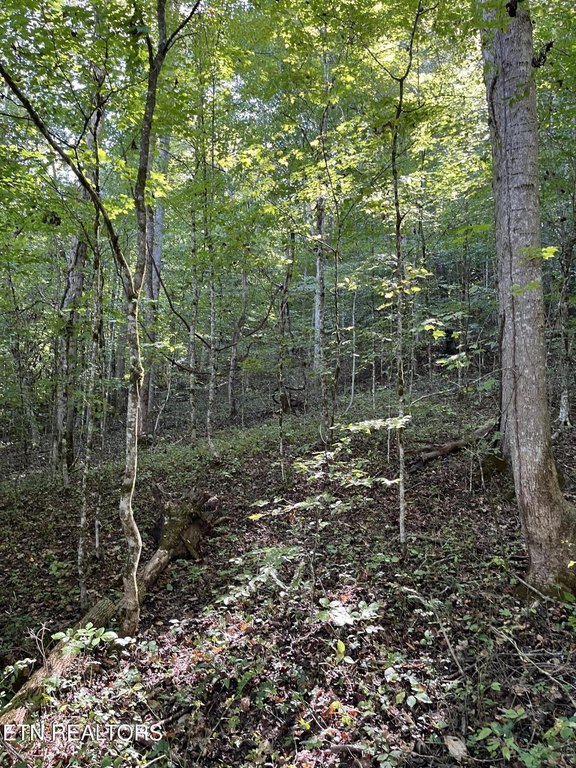 Picture 17