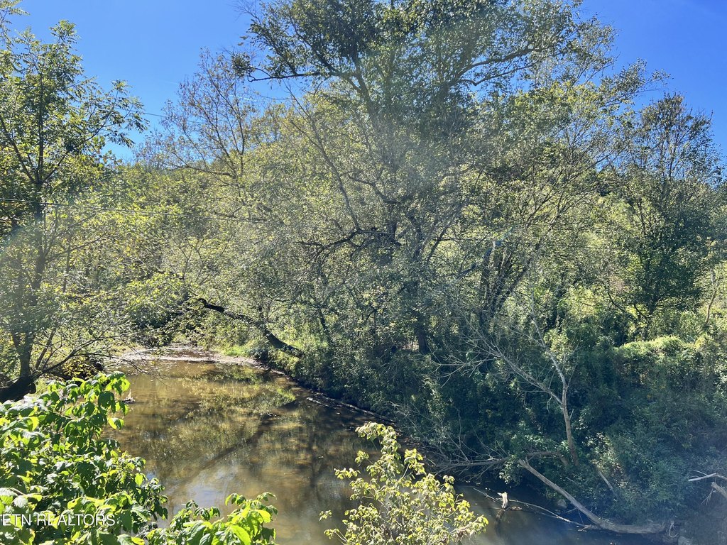 Picture 29