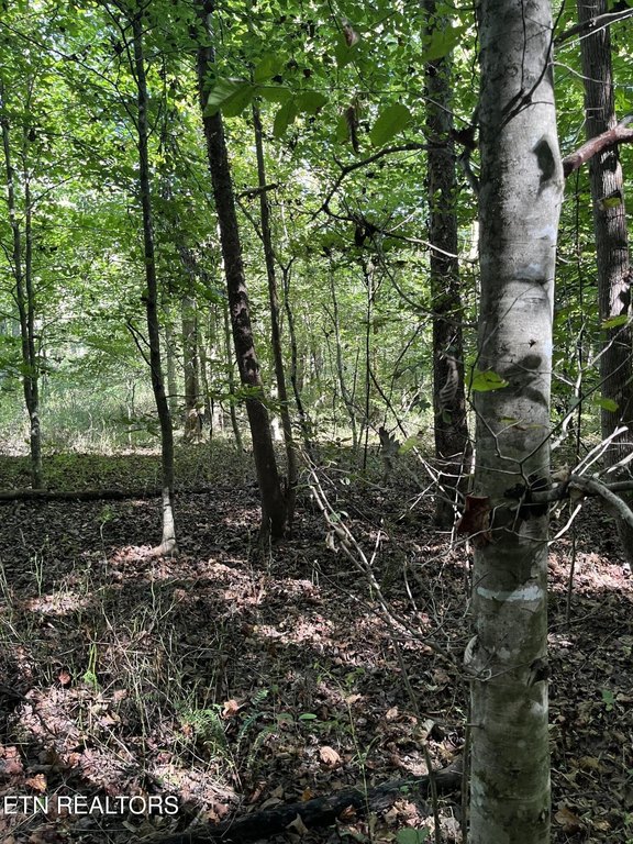 Picture 3