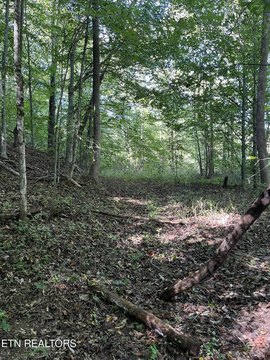 Lots & Acreage, Oneida, TN