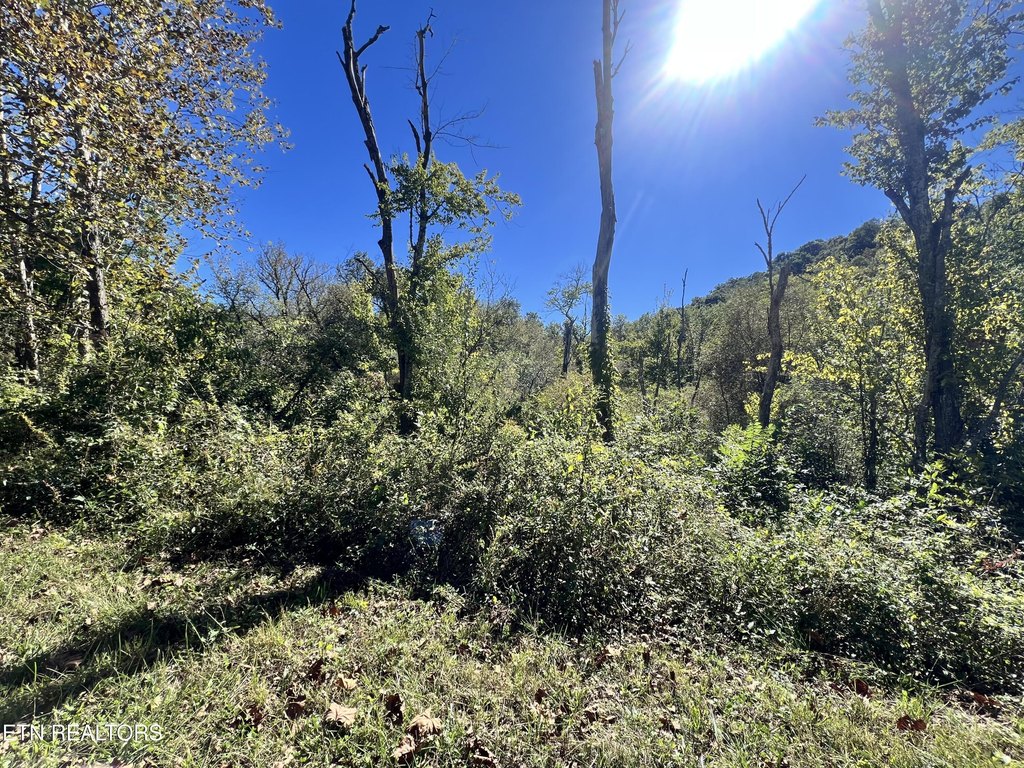 Picture 25