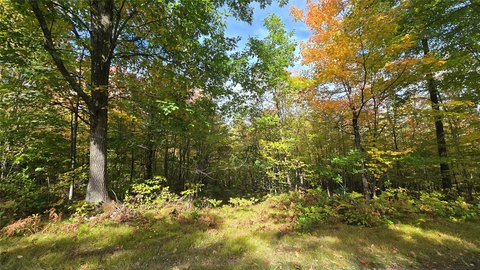Land, Cable, WI