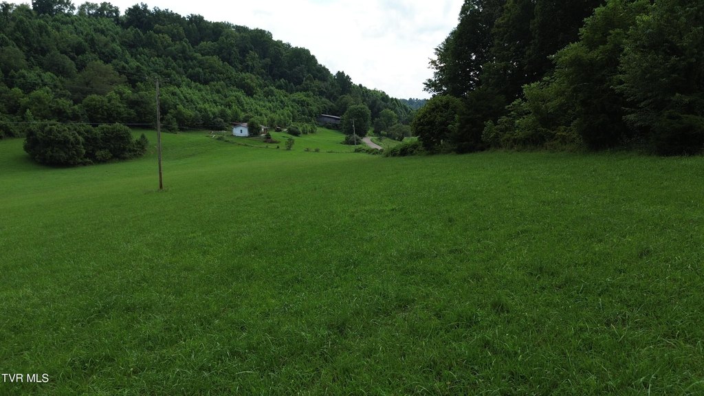 Picture 23
