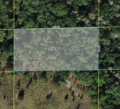 LAND - POLK CITY, FL