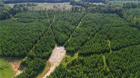 Land for Sale in DADEVILLE