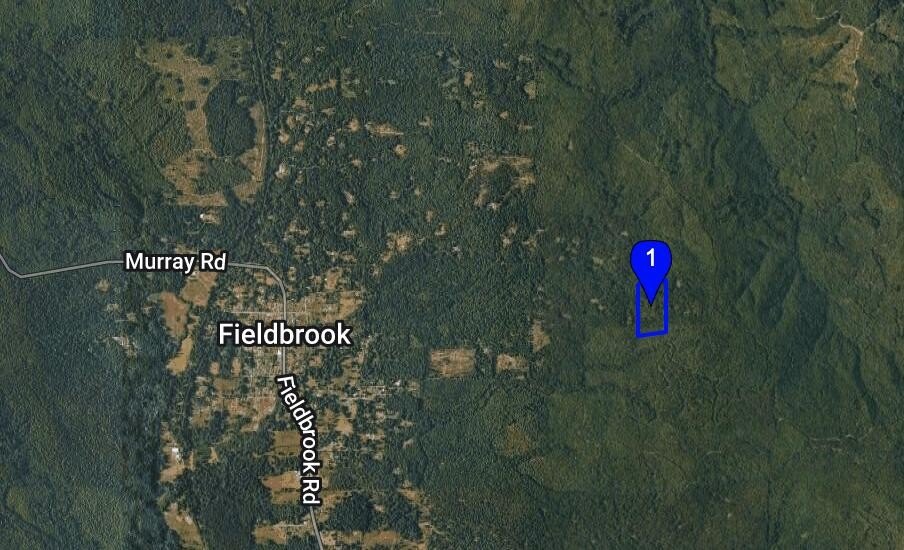 20 Acres Agricultural Timber Property