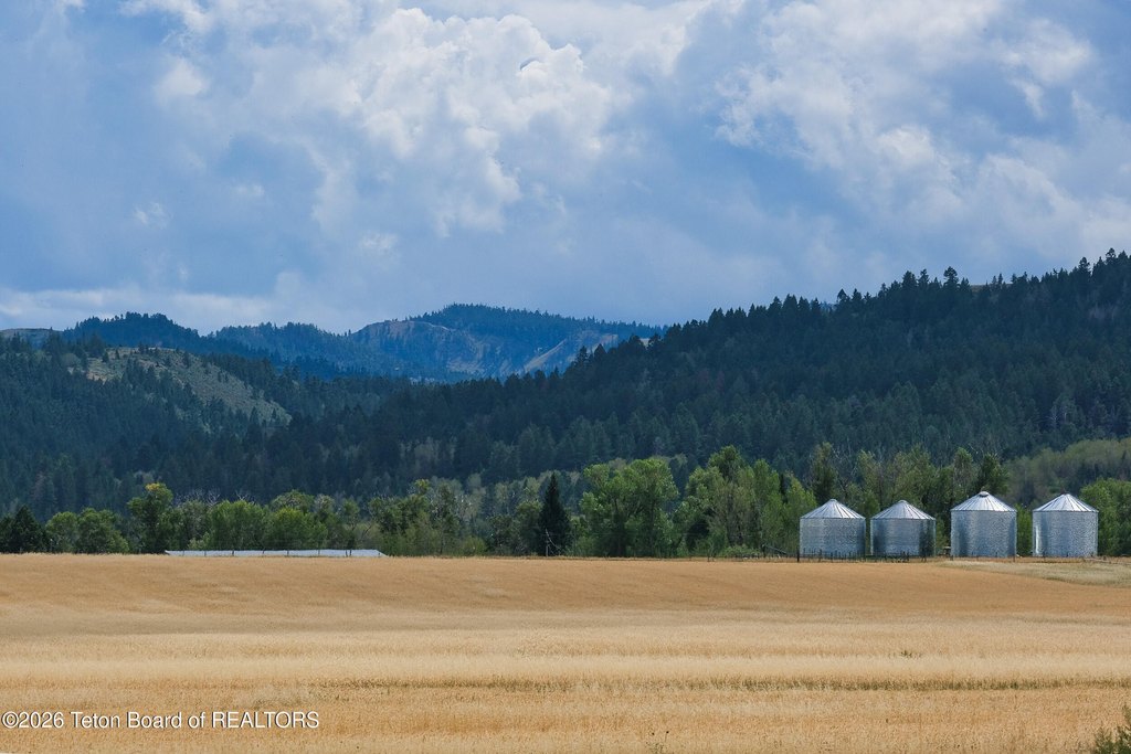 Picture 15