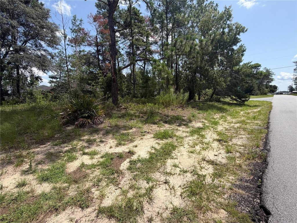 Picture 6