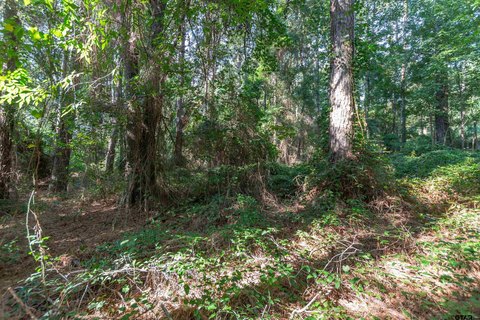 Residential - Tyler, TX