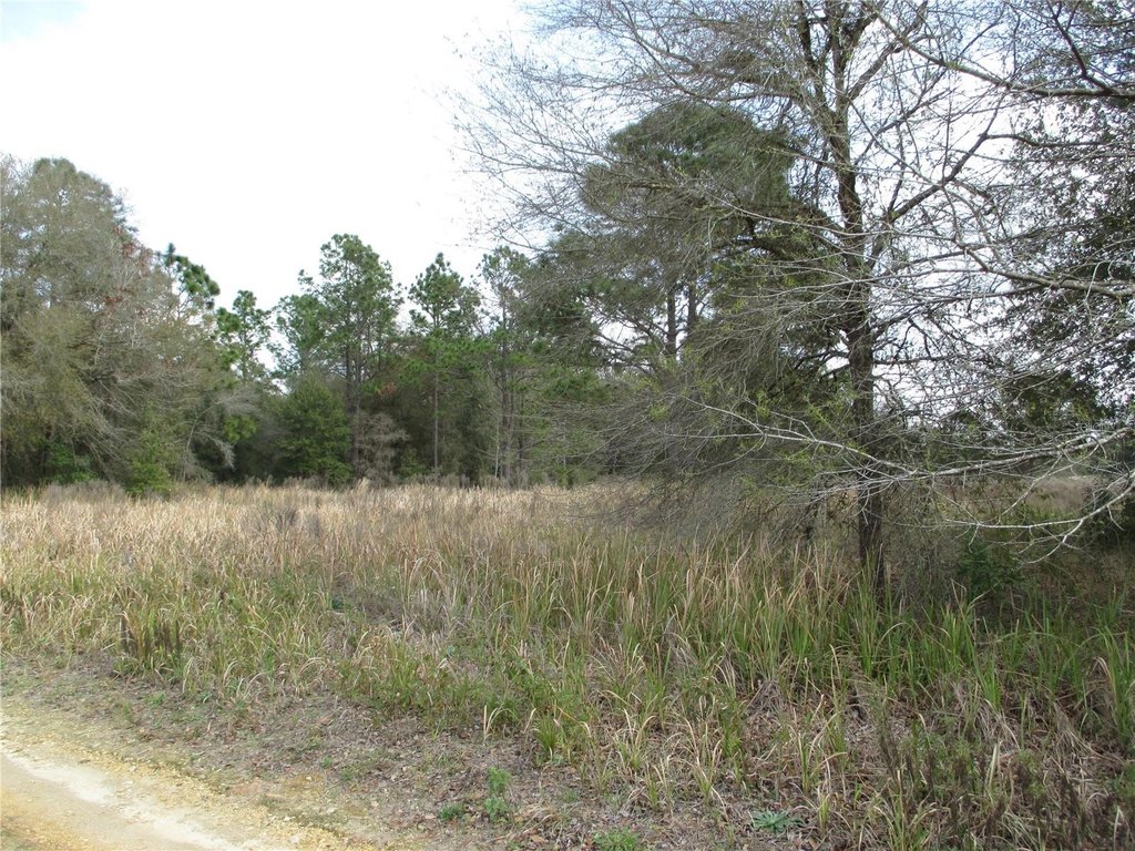 Picture 3