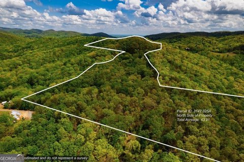 LAND - Ellijay, GA