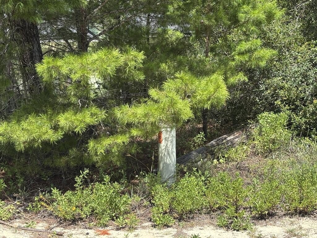 Picture 4