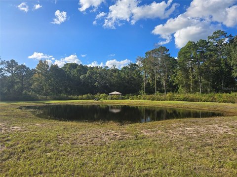 Land, PIERSON, FL