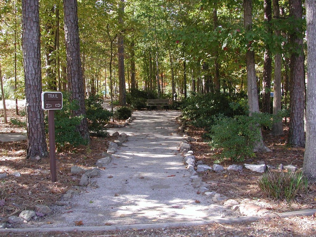 Picture 5