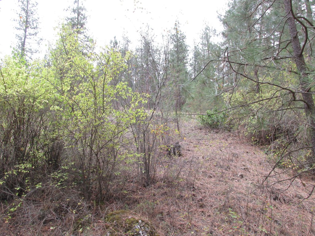 Picture 7