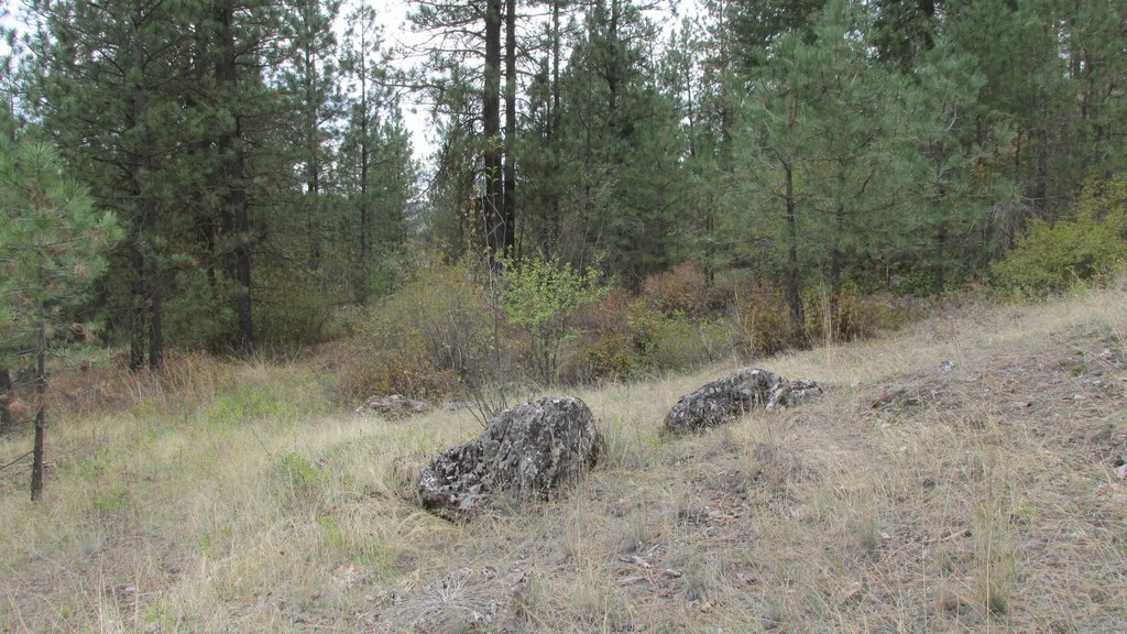 Picture 9