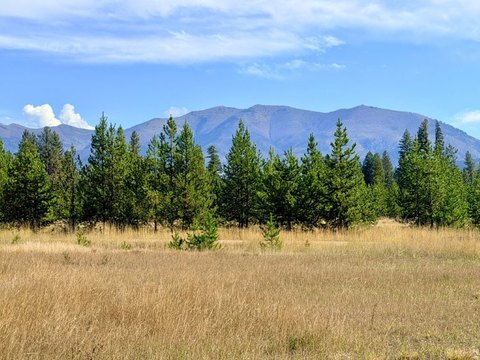 Land, Seeley Lake, MT