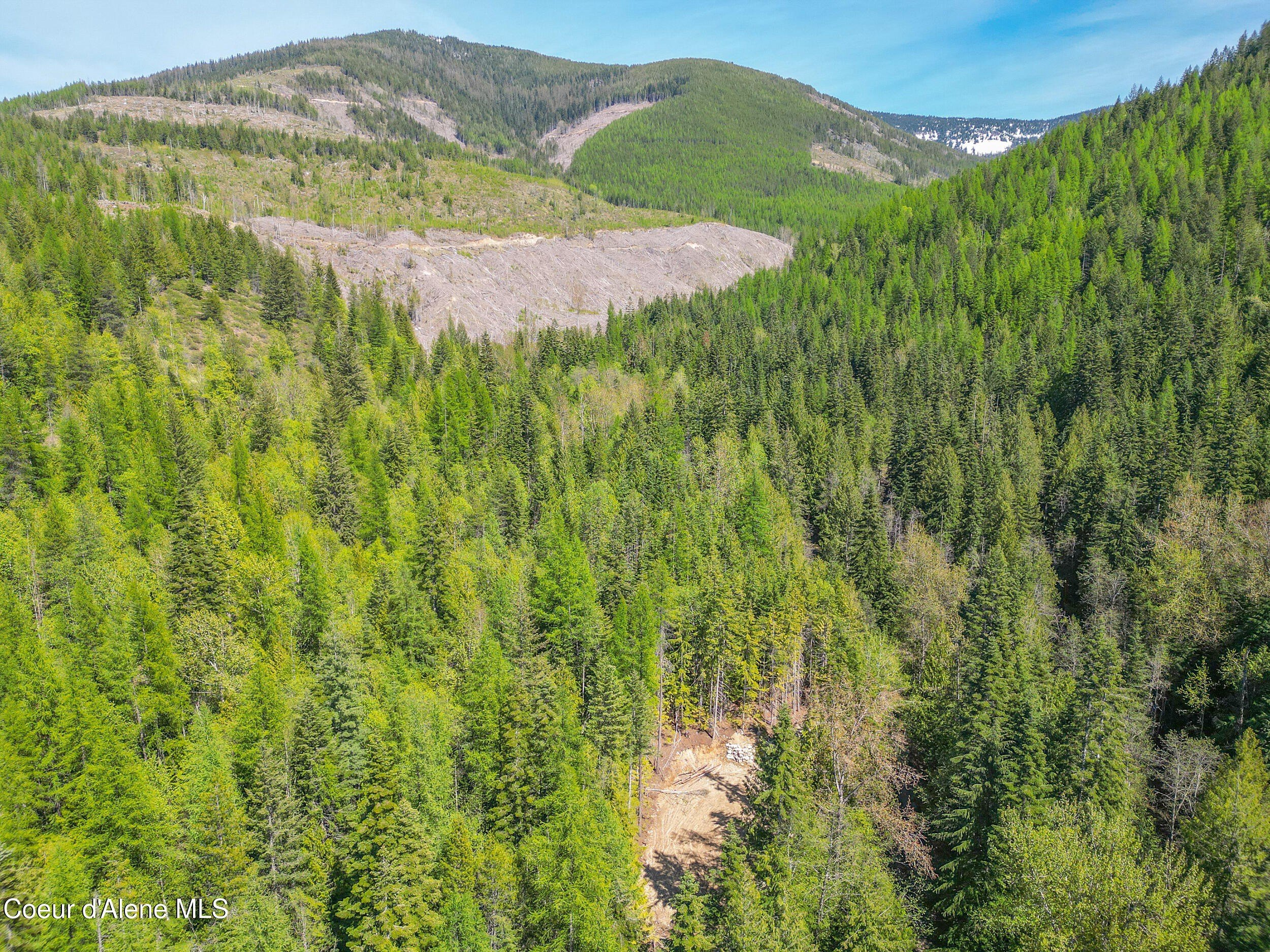Off-Grid Acres with Year-Round Creek