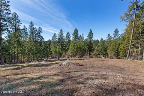 Two Acre Wooded Land Parcel
