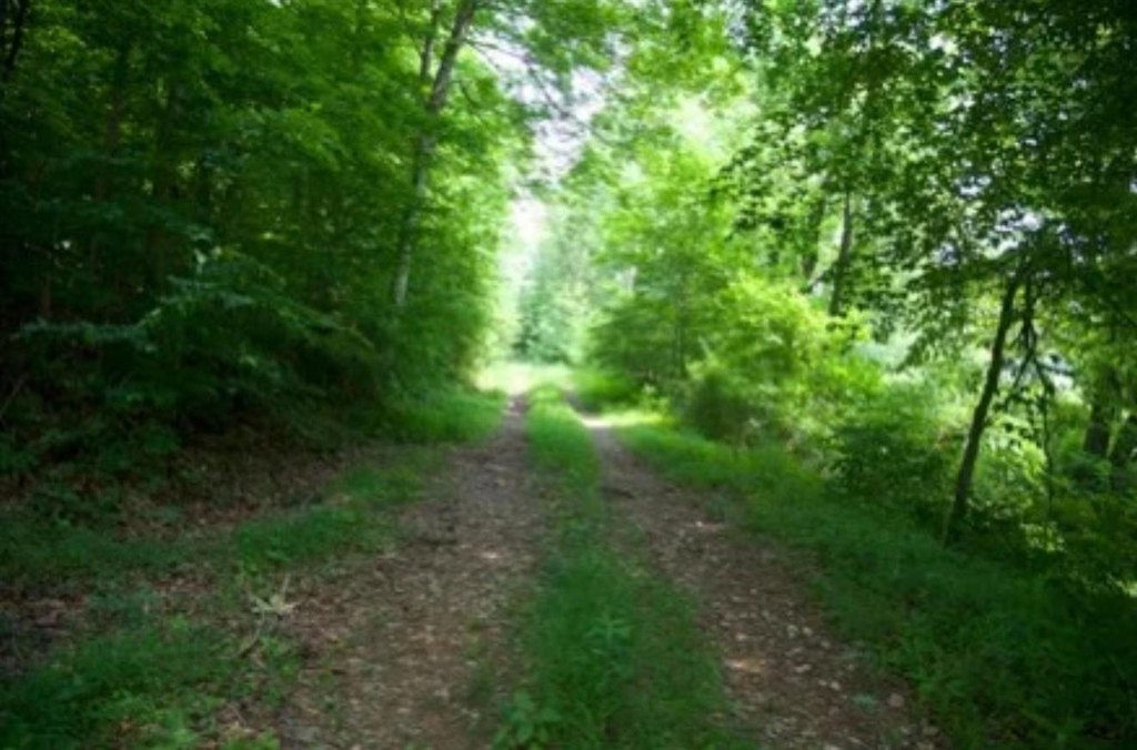 Picture 48