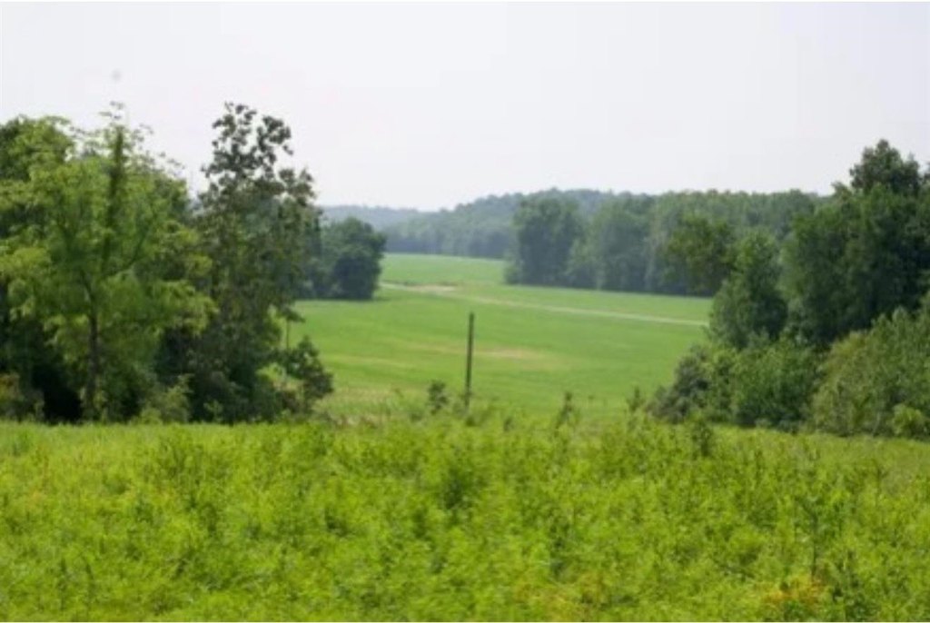 Picture 46