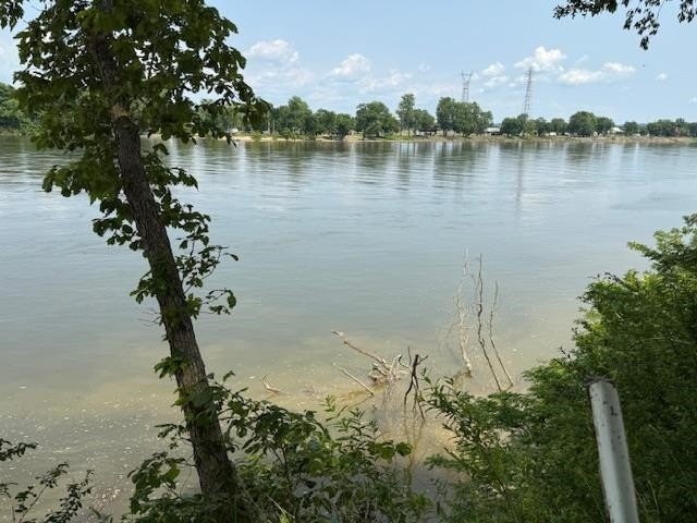 Picture 31