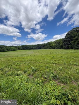 Expansive Salem County Land Parcel