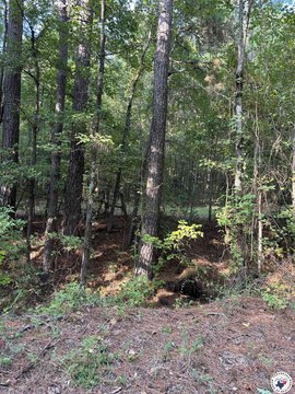 6.05 Acres Near Naples, TX