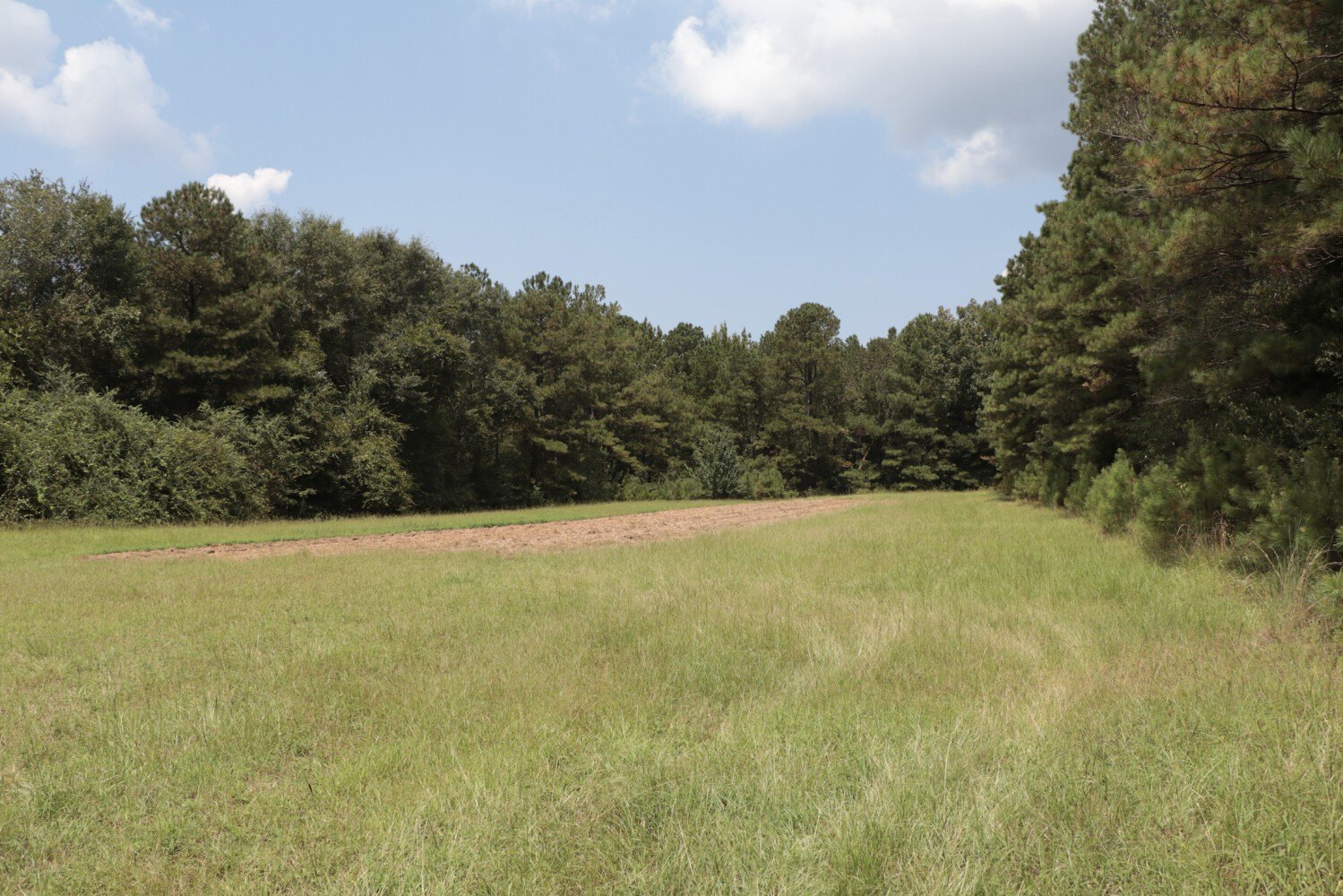 Recreational Land Near Pletcher Community