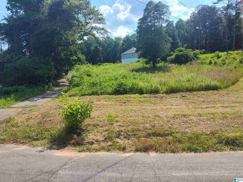 LAND - TRUSSVILLE, AL