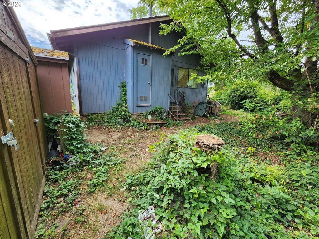 Picture 6