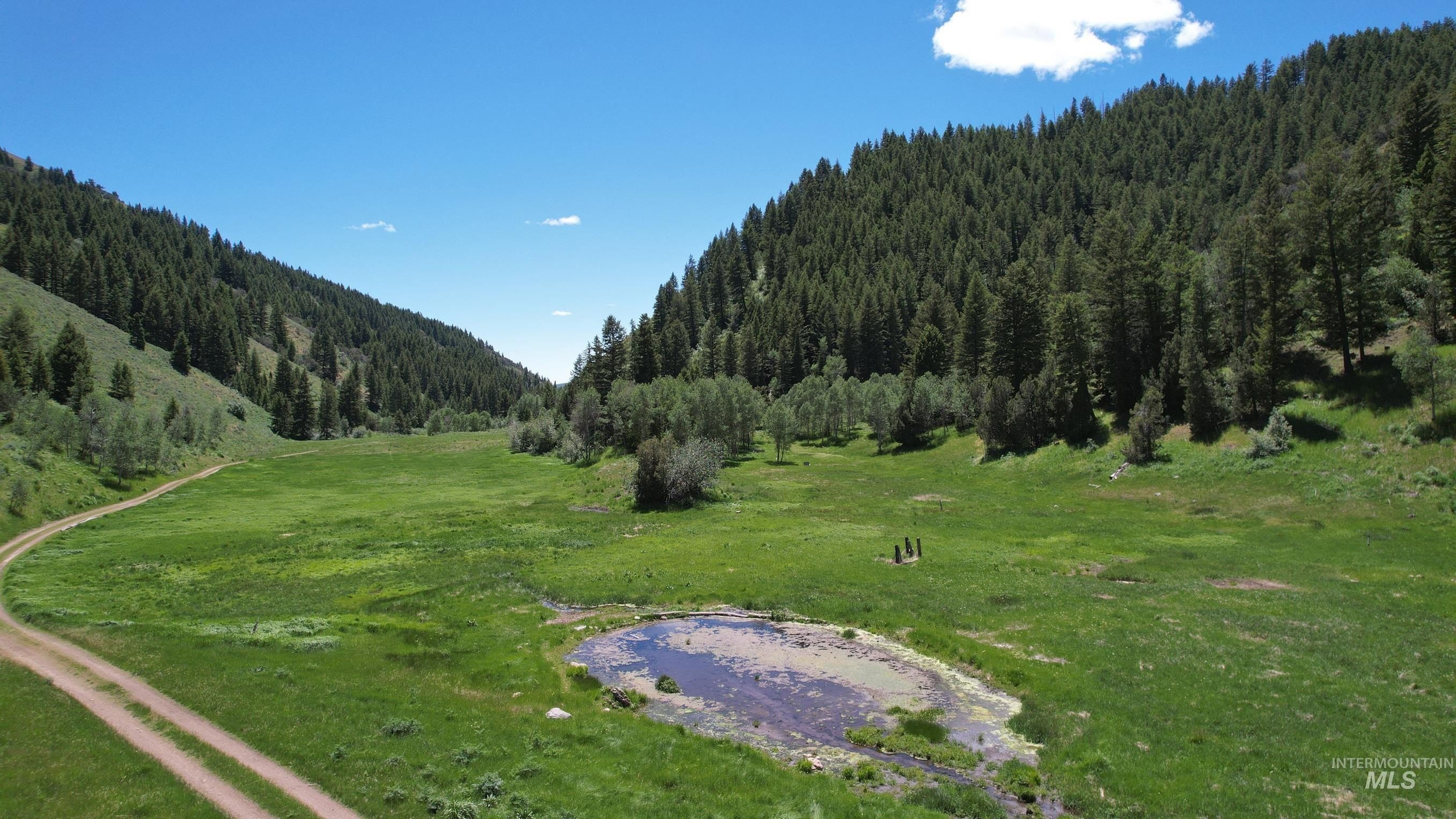 Rockland Hunting and Recreation Land
