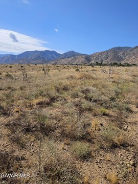 Juniper Hills Land with Well