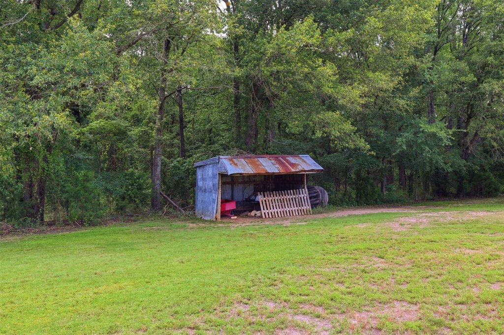 Picture 25