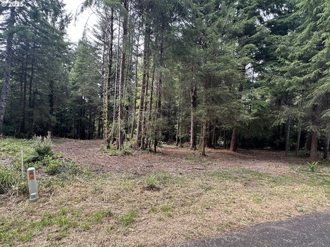 Buildable Lot Near Woahink Lake
