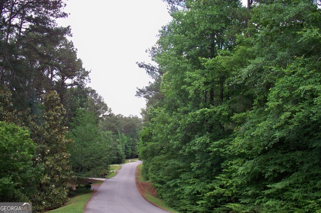 Picture 8