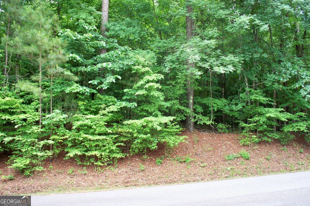 Picture 3