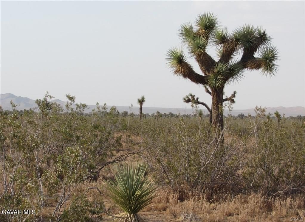 Adelanto Industrial Land For Sale