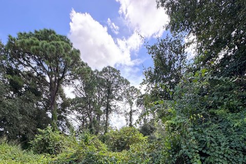 Land & Docks, Fort Pierce, FL