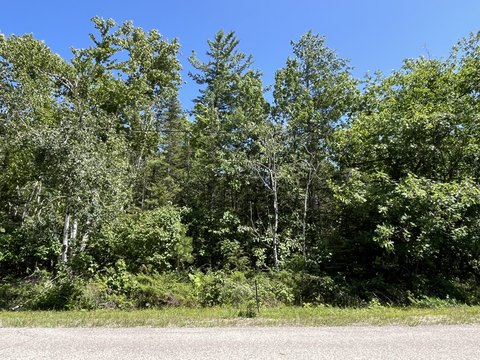 Private Wooded Lake Community Lot