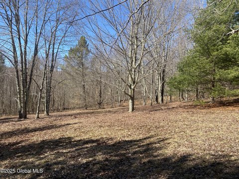 Wooded Land Near Andes, NY
