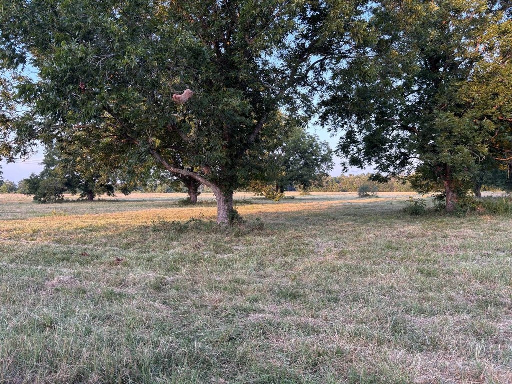 Picture 20